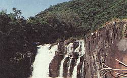 cachoeiraarroioforqueta.jpg (11472 bytes)